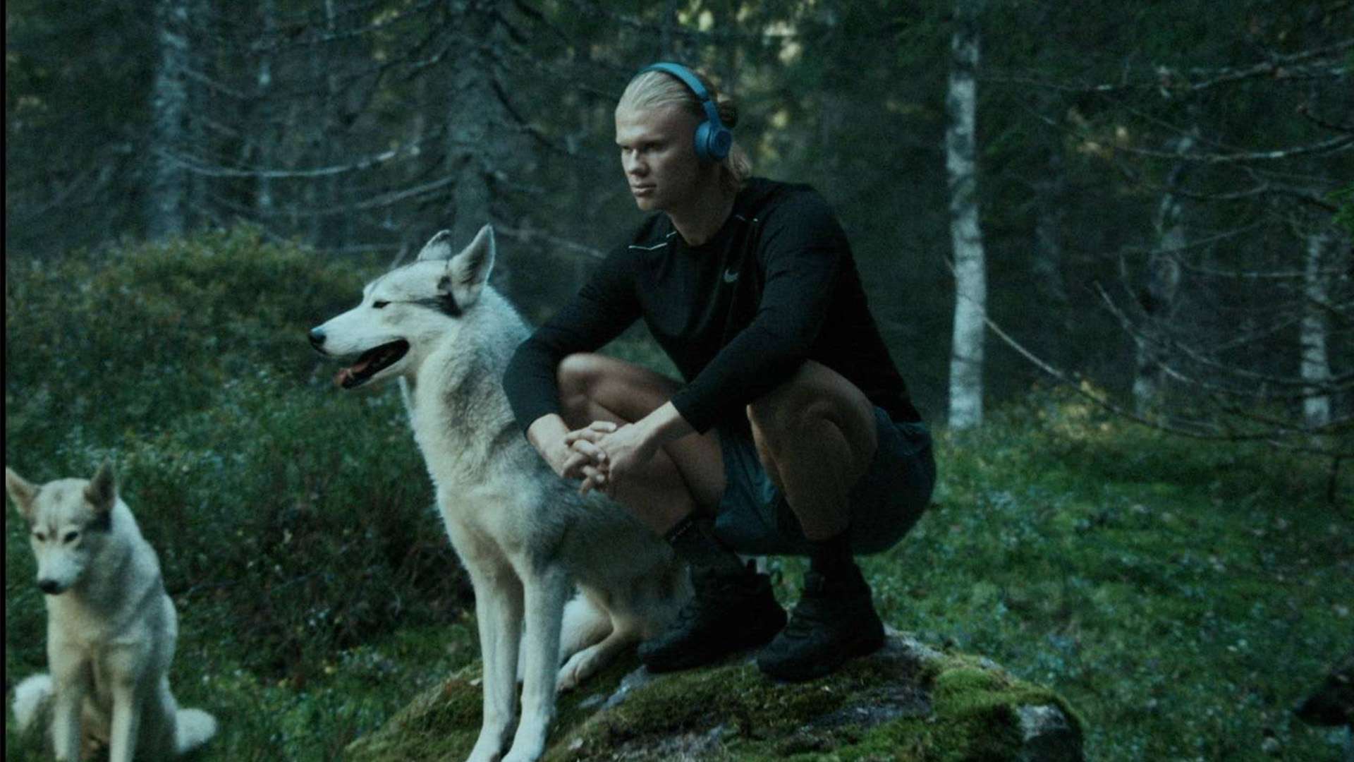 徽在视觉上 徽在视觉上