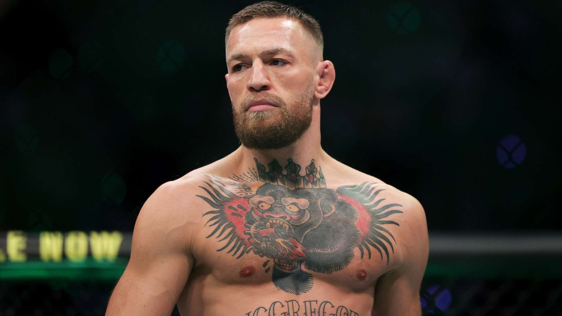 羽毛球女单 羽毛球女单